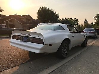 1978 Pontiac Trans Am Trans Am - photo 4