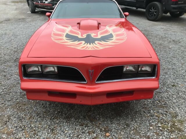 1978 Pontiac Trans Am 6.6-litre V8 400 auto 1978 Pontiac Trans Am
