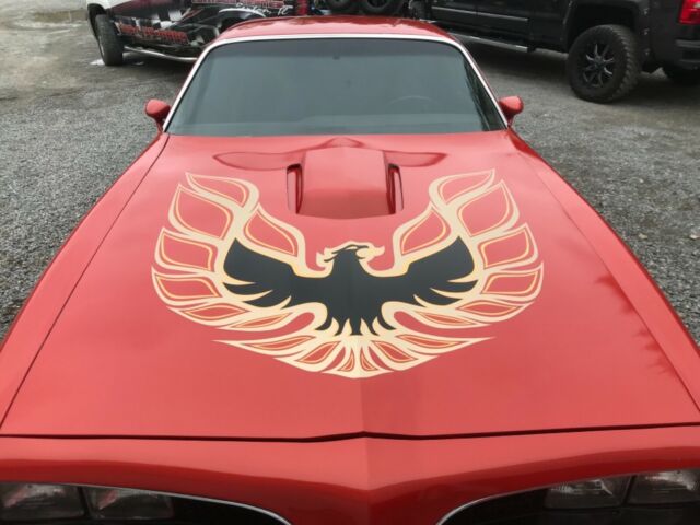 1978 Pontiac Trans Am - photo 9