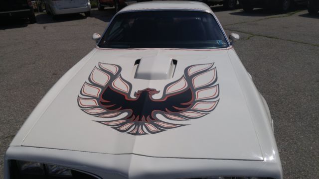 1978 Pontiac Trans Am - photo 8