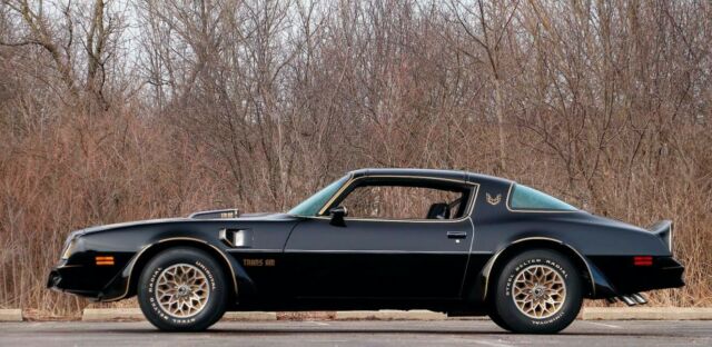 1978 Pontiac Trans Am SE - photo 10