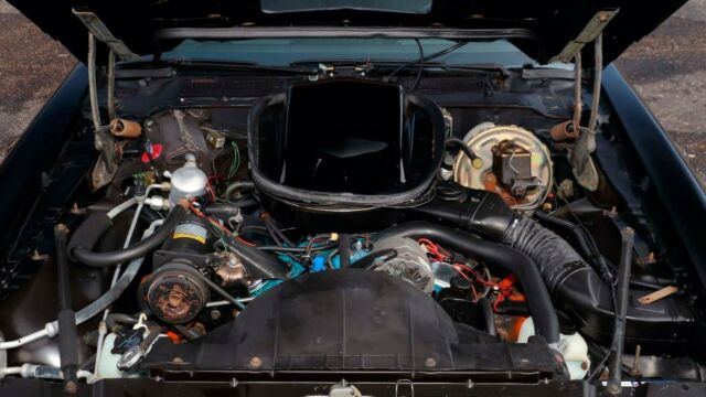 1978 Pontiac Trans Am SE - photo 7