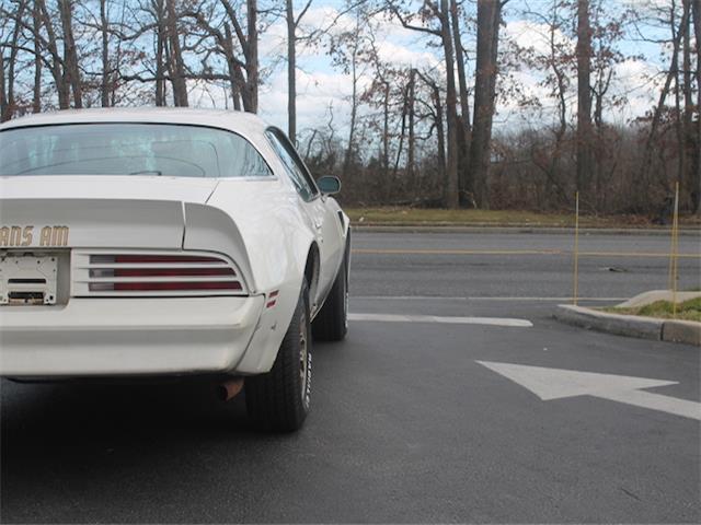 1978 Pontiac Trans Am -- - photo 5