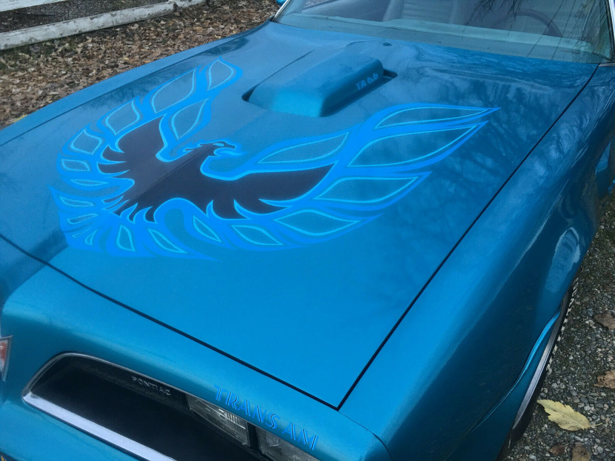 1978 Pontiac Trans Am - photo 10