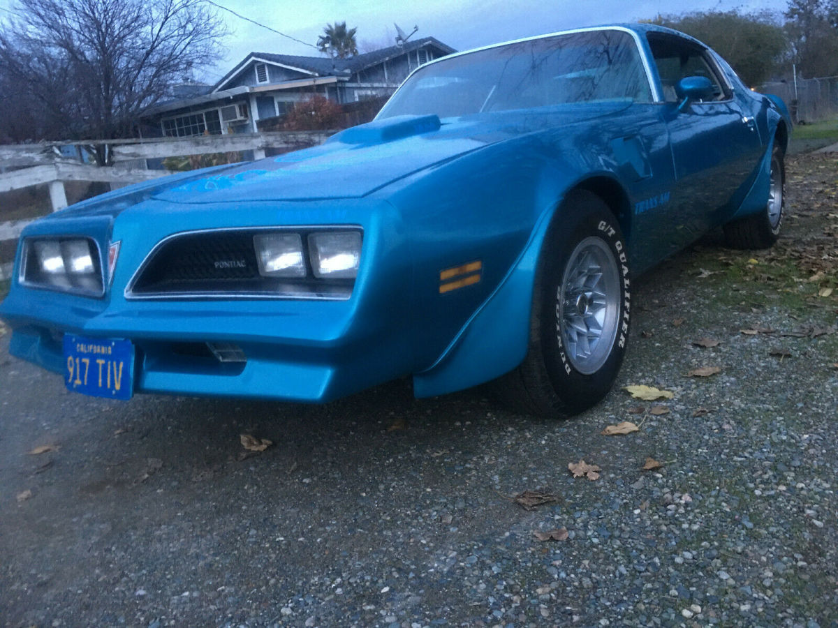 1978 Pontiac Trans Am - photo 12