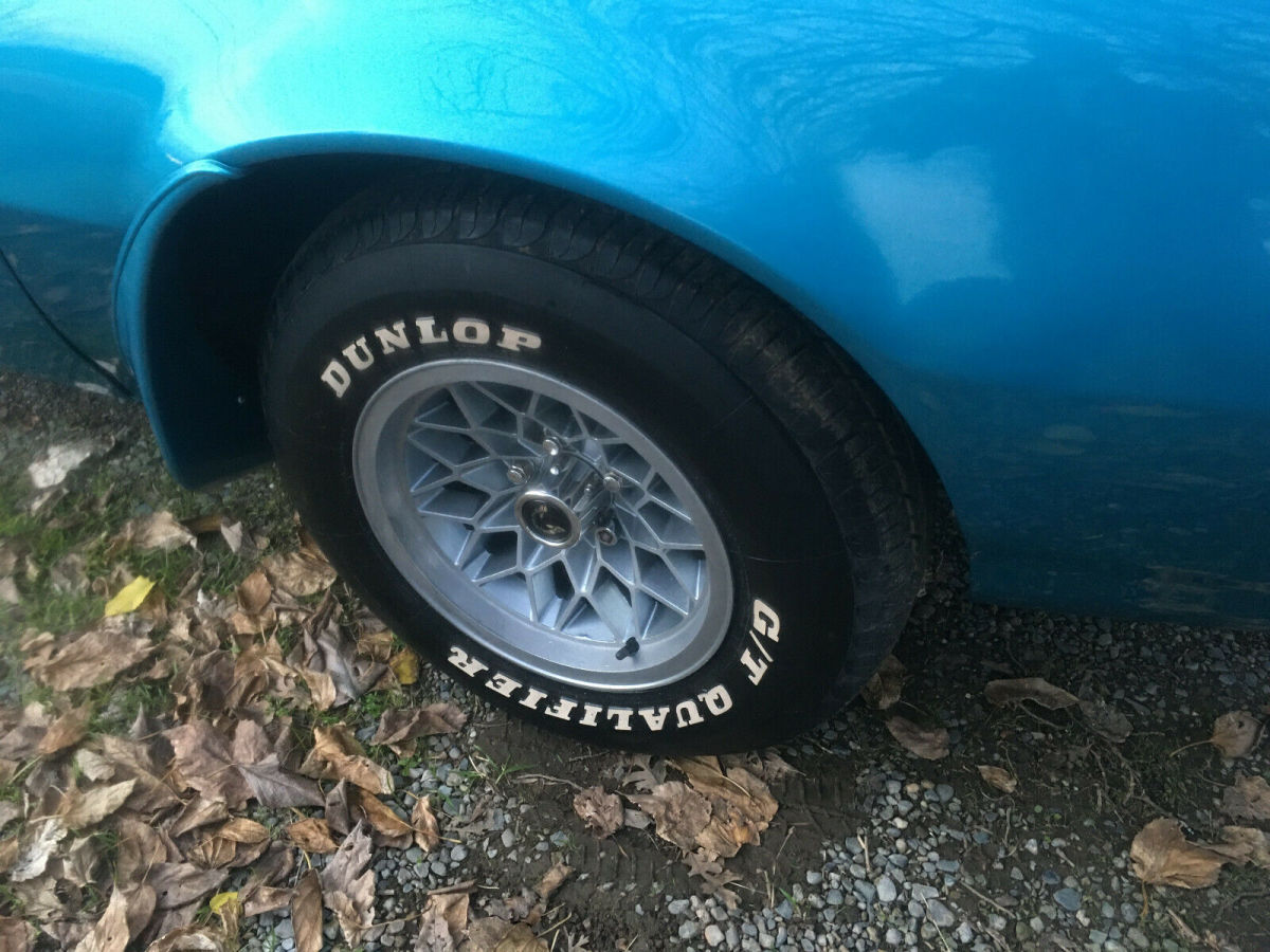 1978 Pontiac Trans Am - photo 13