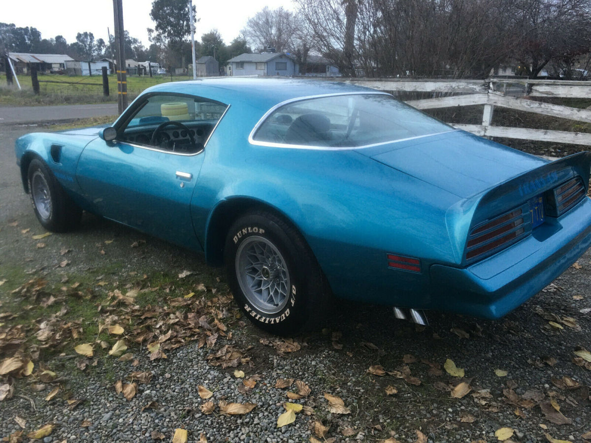 1978 Pontiac Trans Am - photo 7