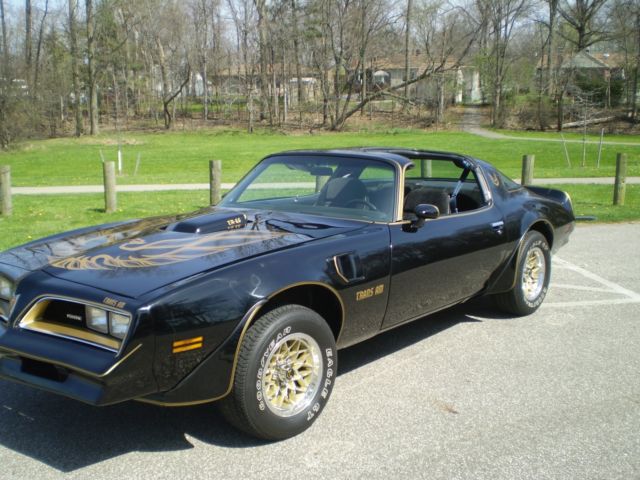 1978 Pontiac Trans Am - photo 10