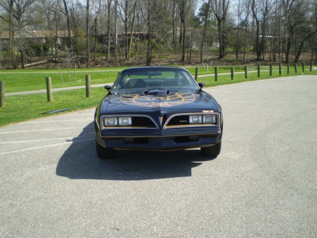 1978 Pontiac Trans Am - photo 11