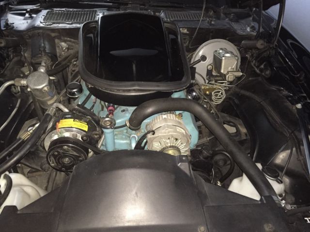 1978 Pontiac Trans Am - photo 4