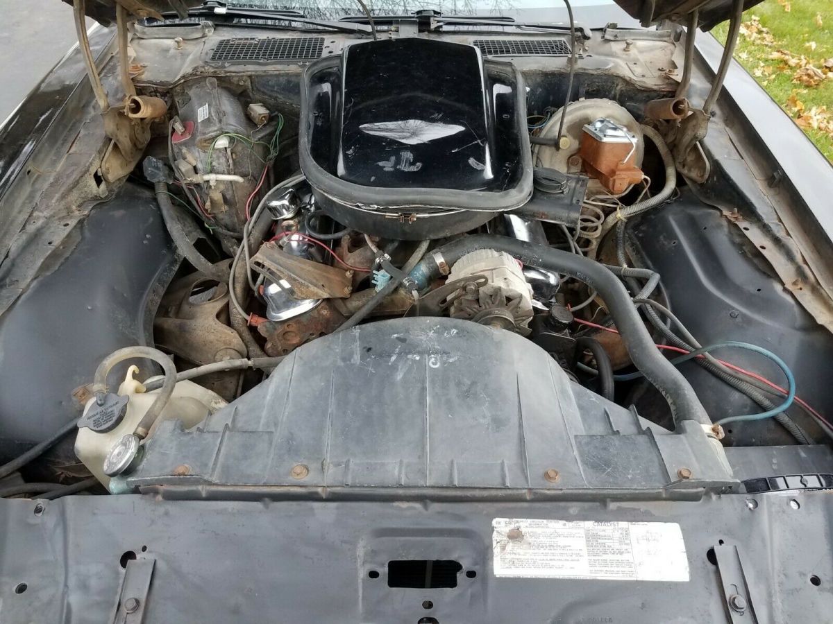 1978 Pontiac Trans Am - photo 10