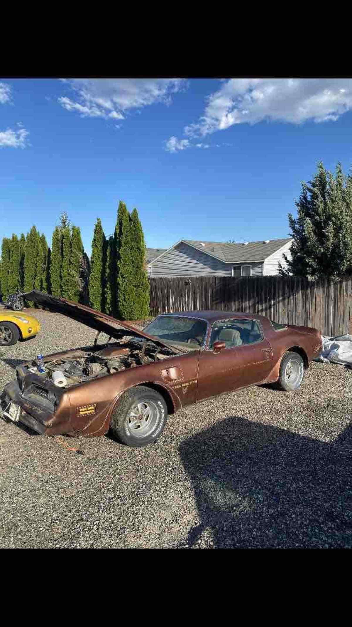 1978 Pontiac Trans Am