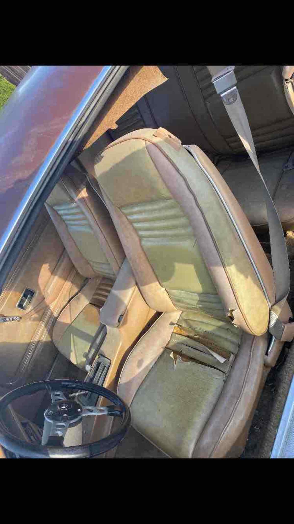 1978 Pontiac Trans Am - photo 12