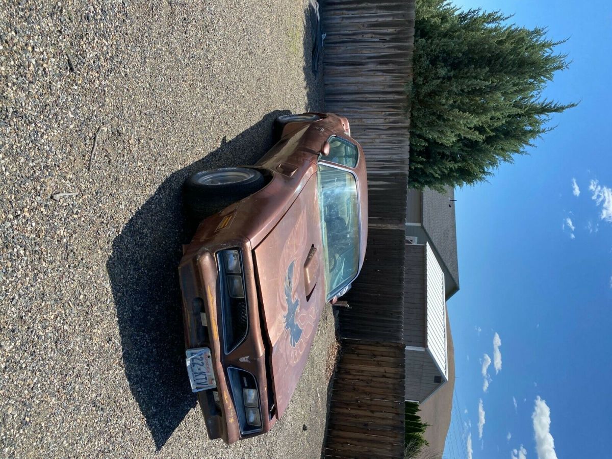 1978 Pontiac Trans Am - photo 13