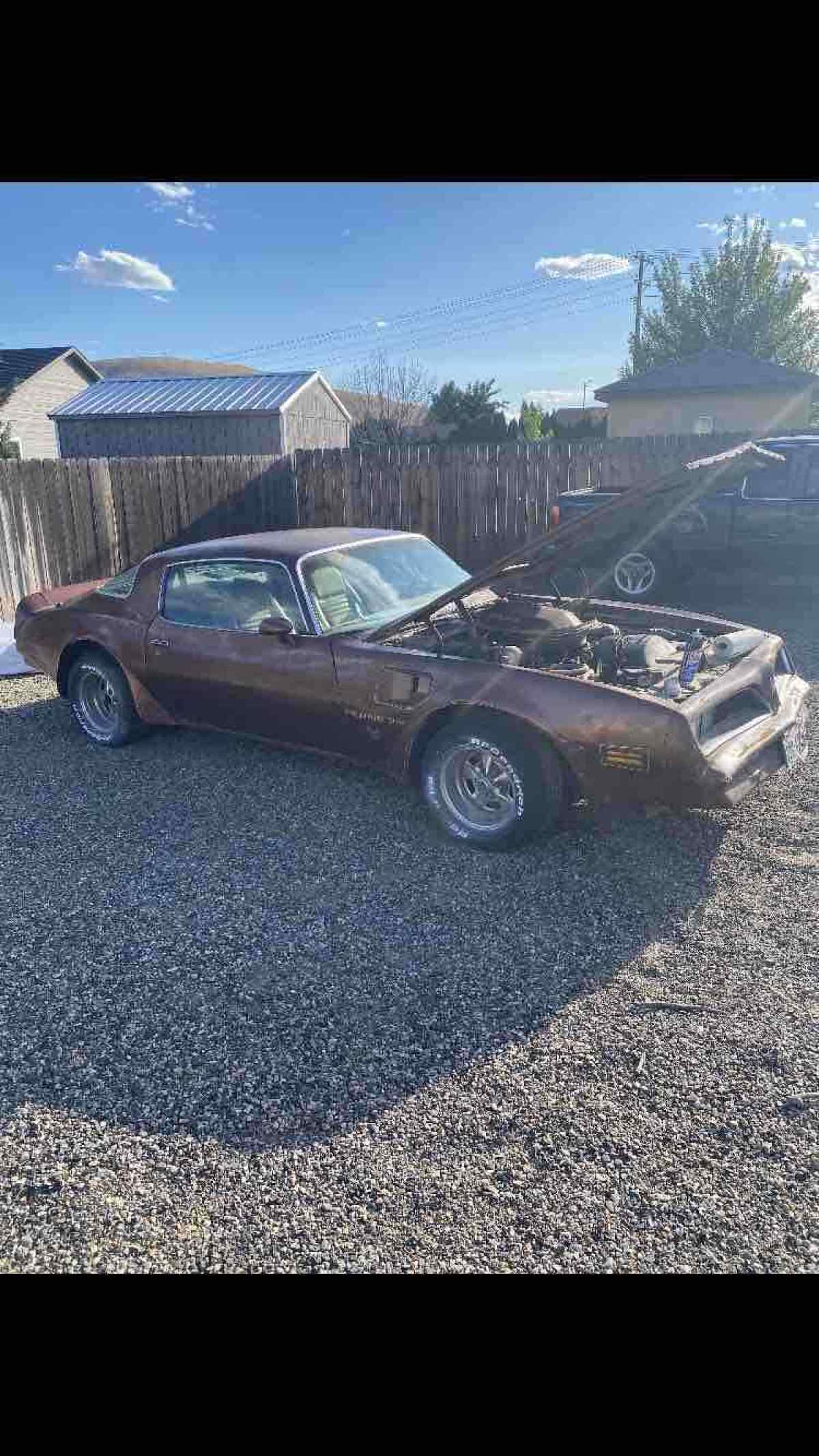 1978 Pontiac Trans Am - photo 2