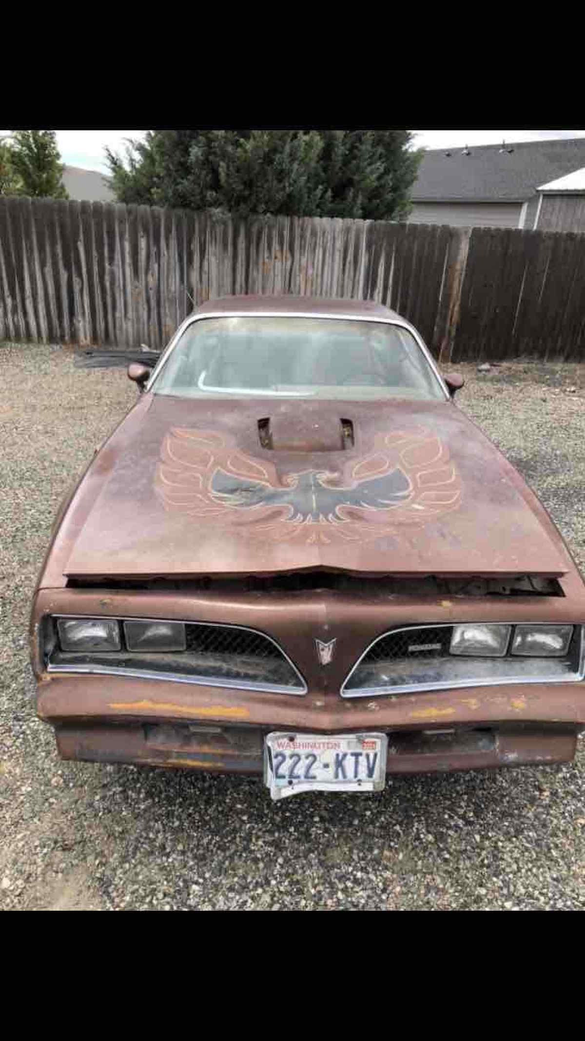 1978 Pontiac Trans Am - photo 4