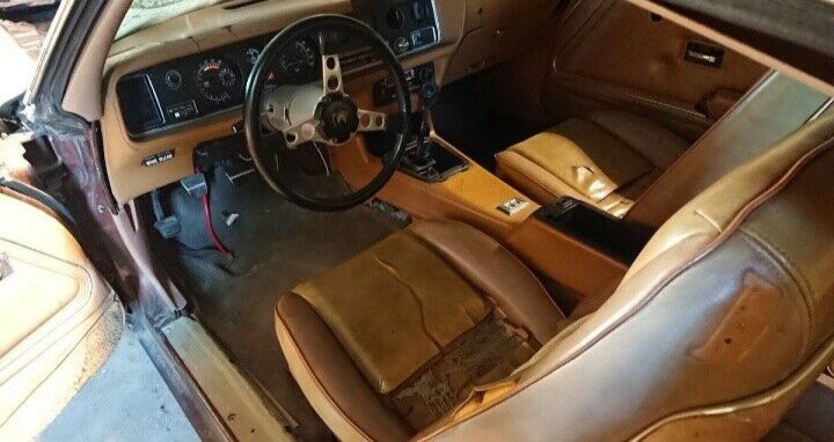 1978 Pontiac Trans Am WS6 - photo 11