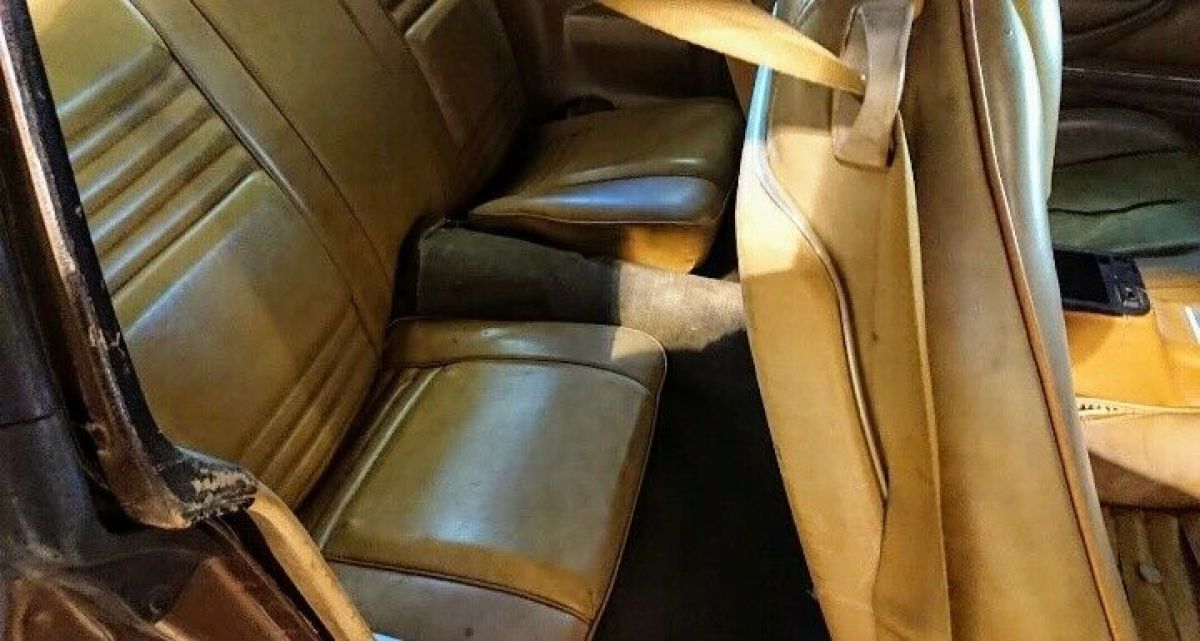 1978 Pontiac Trans Am WS6 - photo 12