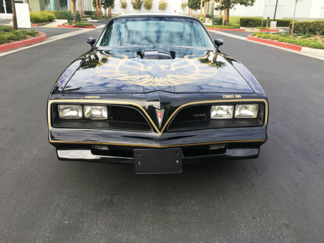 1977 Pontiac Trans Am Trans Am - photo 10