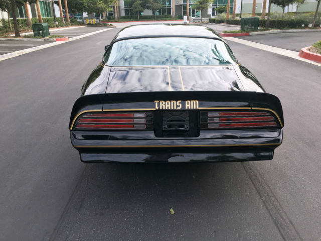 1977 Pontiac Trans Am Trans Am - photo 6