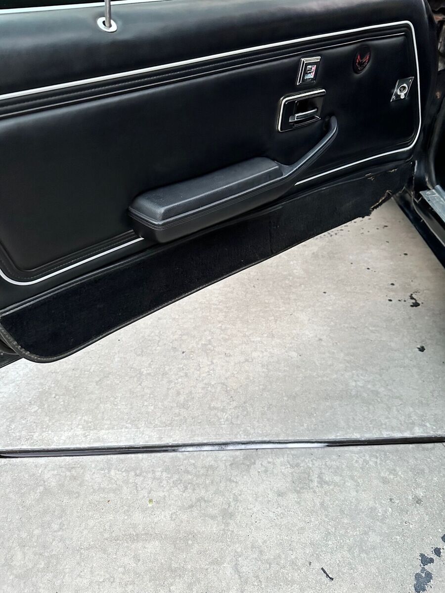 1978 Pontiac Trans Am - photo 10