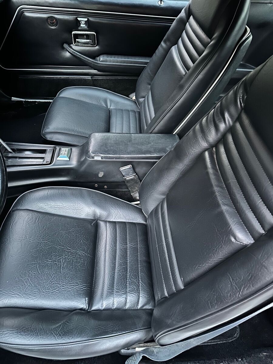 1978 Pontiac Trans Am - photo 12