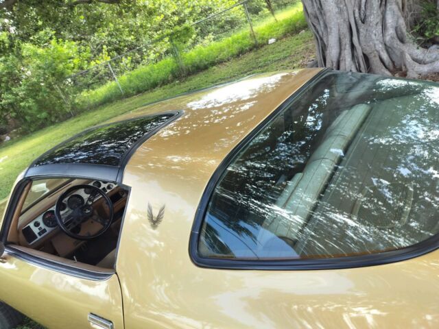 1978 Pontiac Trans Am - photo 8