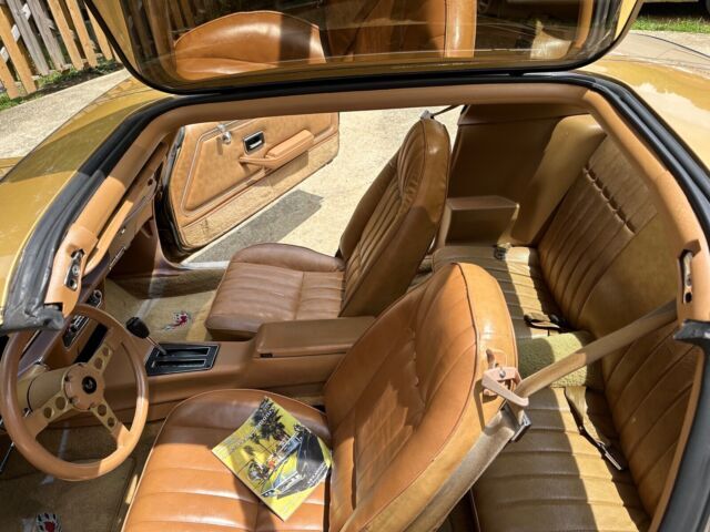 1978 Pontiac Trans Am trans am. y88 special edition. - photo 10