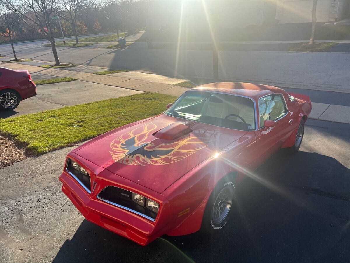 1978 Pontiac Trans Am 6.6 - photo 8