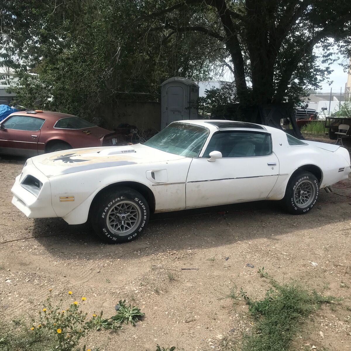 1978 Pontiac Trans Am Coupe White RWD Automatic w-72 1978 Pontiac Trans Am w-72