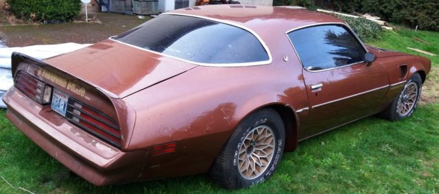 1978 Pontiac Trans Am - photo 10