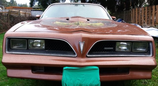 1978 Pontiac Trans Am - photo 12