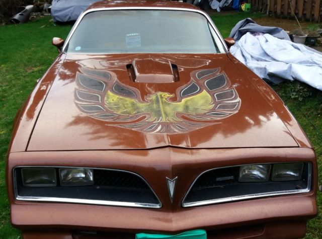1978 Pontiac Trans Am - photo 2