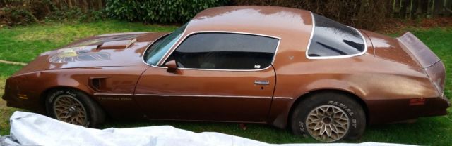 1978 Pontiac Trans Am - photo 5