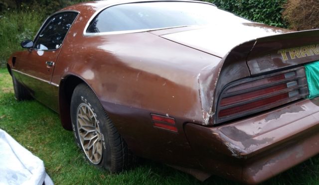 1978 Pontiac Trans Am - photo 6