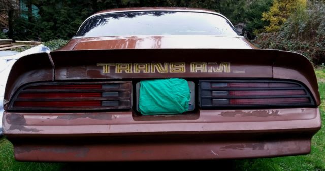 1978 Pontiac Trans Am - photo 7