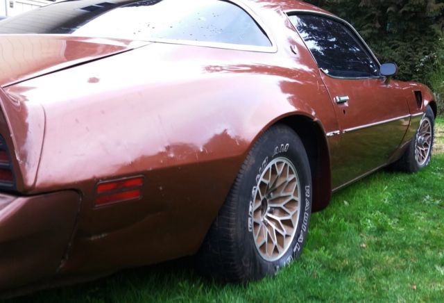 1978 Pontiac Trans Am - photo 8