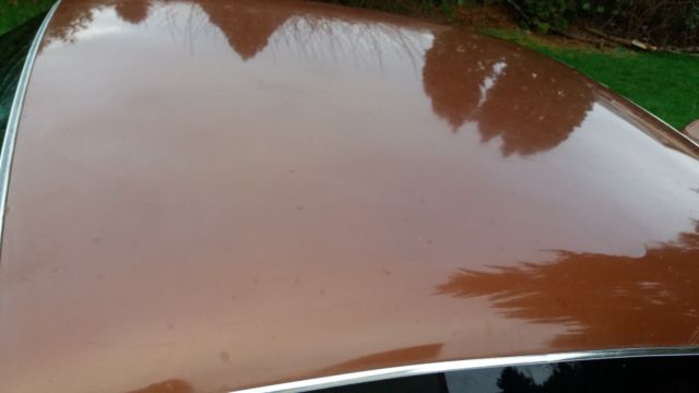 1978 Pontiac Trans Am - photo 9