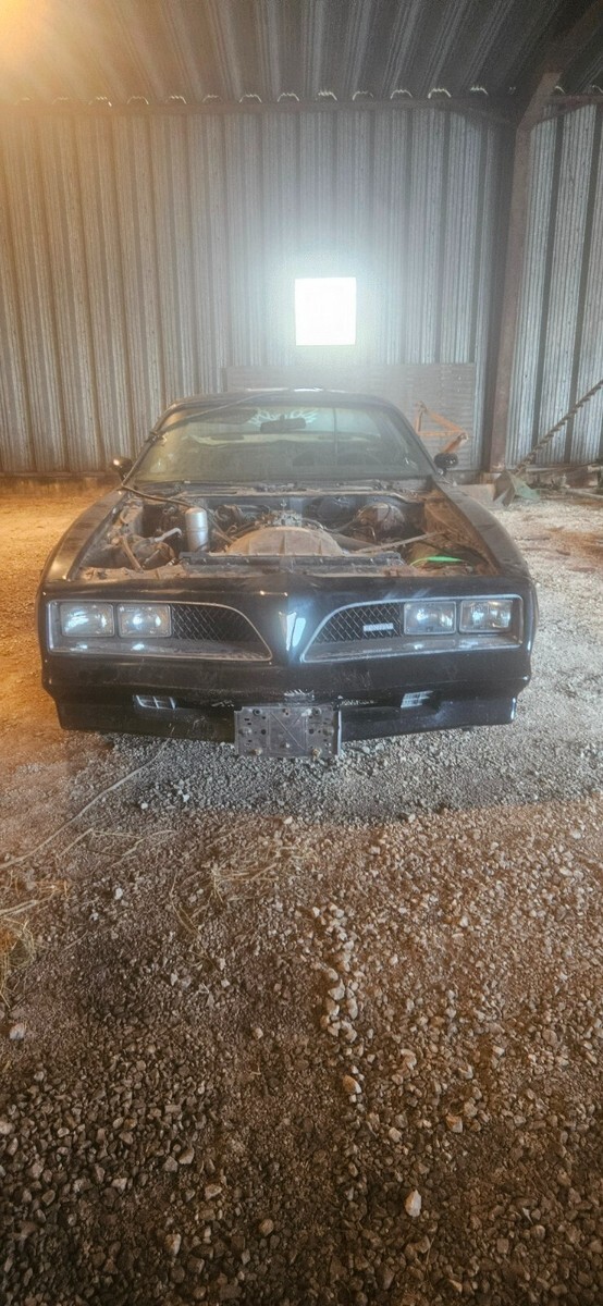 1978 Pontiac Trans Am - photo 5