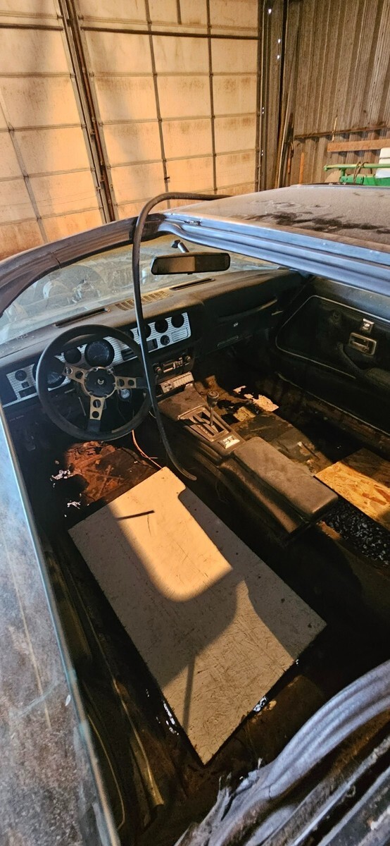 1978 Pontiac Trans Am - photo 6