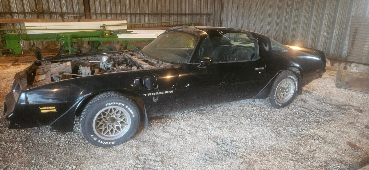 1978 Pontiac Trans Am - photo 8