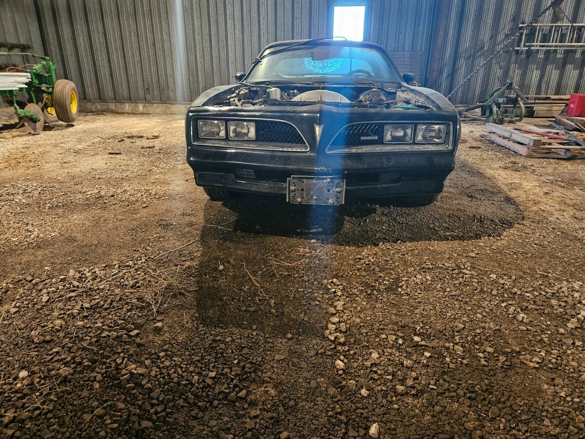 1978 Pontiac Trans Am - photo 9
