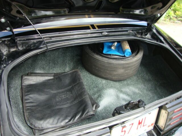 1978 Pontiac Trans Am - photo 12