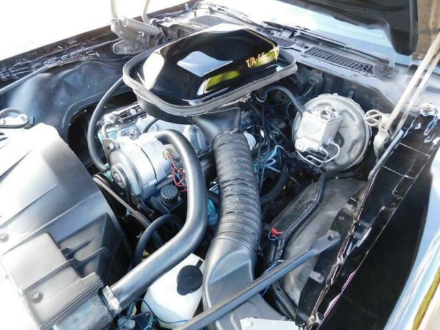 1978 Pontiac Trans Am Four Speed - photo 5