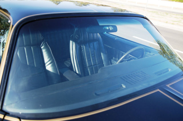 1978 Pontiac Trans Am - photo 10