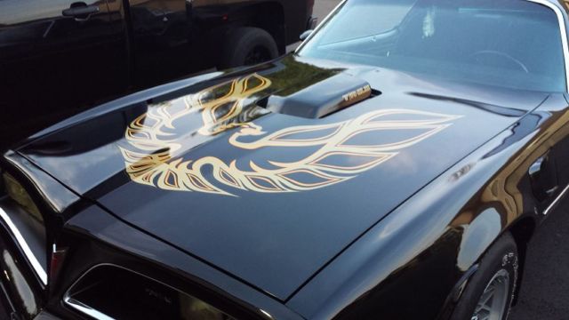 1978 Pontiac Trans Am - photo 5