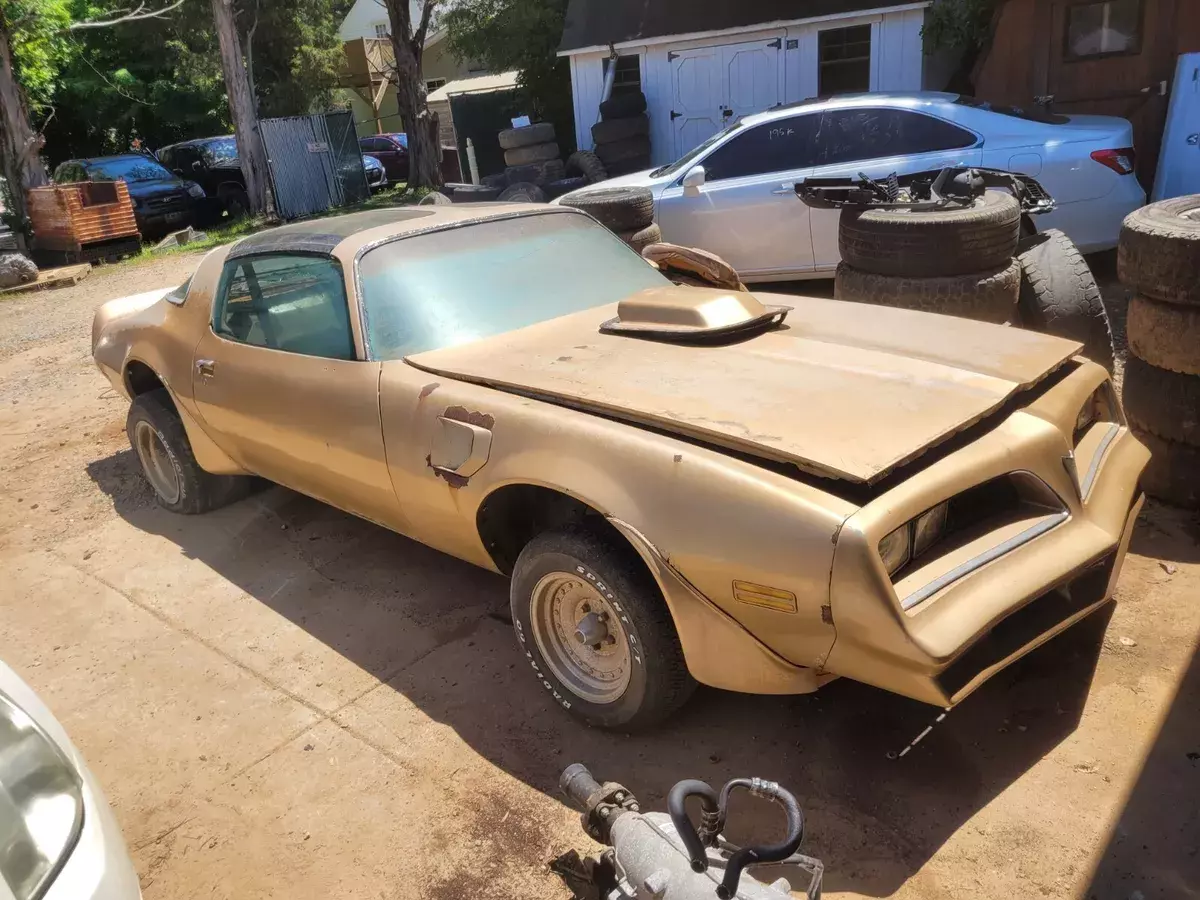 1978 pontiac trans am gold edition y88 1978 Pontiac Trans Am
