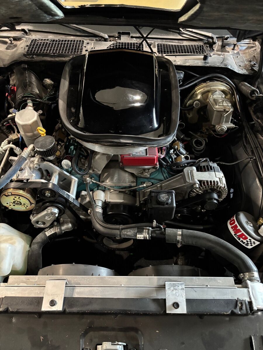 1978 Pontiac Trans Am - photo 3