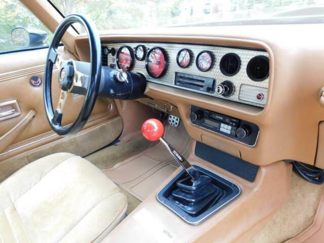 1978 Pontiac Trans Am MACHO DKM #67 - photo 11