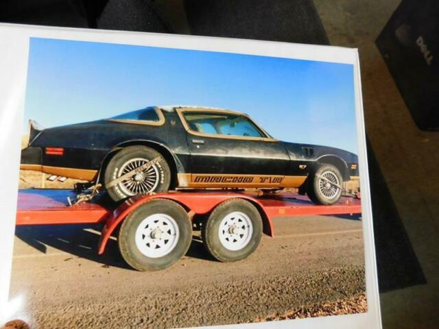 1978 Pontiac Trans Am MACHO DKM #67 - photo 12